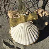 Hilton Head Scallop Shell with Turtle Ornament