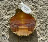 Hilton Head Faux Scallop Shell Ornament