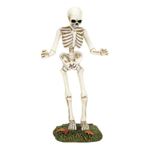 Department 56 Sized for Surprise! Accessory NEW for 2025