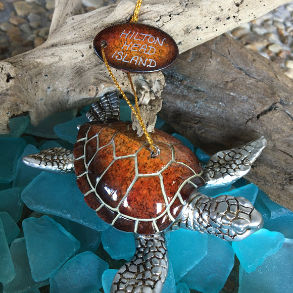 Hi - Gloss Realistic Turtle