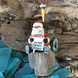 Santa with Pelican