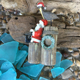 Santa with Pelican