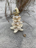 Hilton Head Starfish Tree Ornament