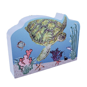 Cat's Meow Loggerhead Sea Turtle EXCLUSIVE